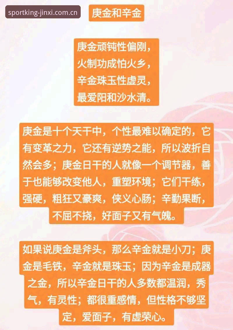 金喜体育功能怎么样 掌握金喜体育功能的实用指南:新手必备的操作技巧与安全知识